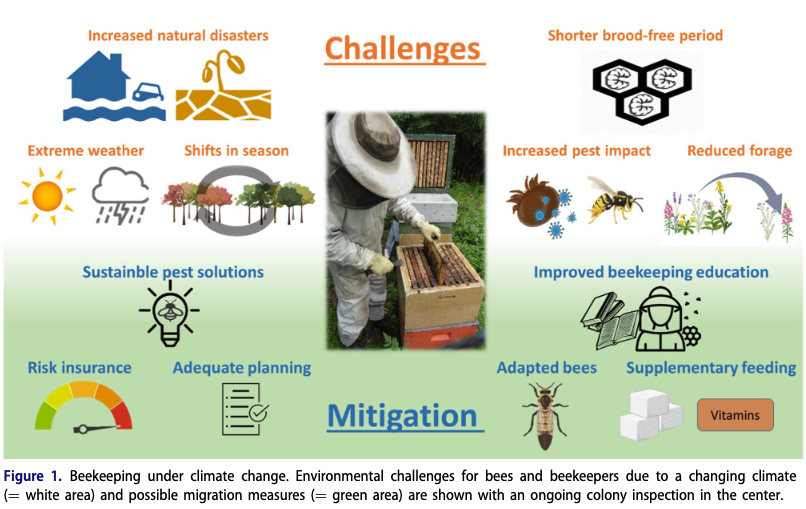 Beekeeping under climate change. Environmental challenges for bees and beekeepers.